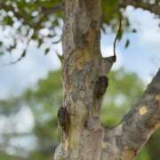 ヒメ日記 2025/08/09 09:10 投稿 ゆり奥様 人妻です