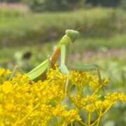 ヒメ日記 2025/08/30 12:33 投稿 ゆり奥様 人妻です