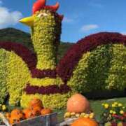 ヒメ日記 2025/10/21 11:43 投稿 ゆり奥様 人妻です