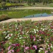 ヒメ日記 2025/10/22 09:26 投稿 ゆり奥様 人妻です