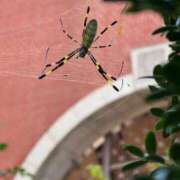 ヒメ日記 2025/11/02 11:36 投稿 ゆり奥様 人妻です