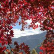 ヒメ日記 2025/11/11 17:40 投稿 ゆり奥様 人妻です