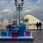 ヒメ日記 2025/11/29 09:05 投稿 ゆり奥様 人妻です