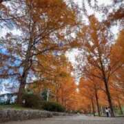 ヒメ日記 2025/12/10 20:12 投稿 ゆり奥様 人妻です