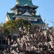 ヒメ日記 2026/02/28 02:03 投稿 ゆり奥様 人妻です