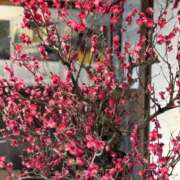 ヒメ日記 2026/03/02 10:07 投稿 ゆり奥様 人妻です