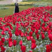 ヒメ日記 2026/04/16 10:34 投稿 ゆり奥様 人妻です