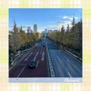 ヒメ日記 2024/12/15 05:44 投稿 ちなみ クラブ貴公子