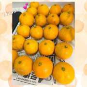 ヒメ日記 2025/01/01 15:58 投稿 ちなみ クラブ貴公子