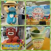 ヒメ日記 2025/06/04 18:30 投稿 ちなみ クラブ貴公子