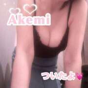 ヒメ日記 2025/03/05 14:06 投稿 あけみ先生 渋谷   大人の幼稚園