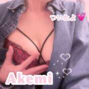 ヒメ日記 2025/03/14 13:46 投稿 あけみ先生 渋谷   大人の幼稚園