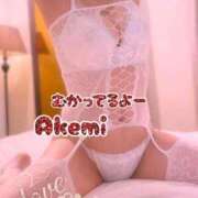 ヒメ日記 2026/03/06 12:37 投稿 あけみ先生 渋谷   大人の幼稚園