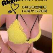 ヒメ日記 2026/05/28 16:57 投稿 あけみ先生 渋谷   大人の幼稚園