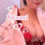 ヒメ日記 2026/06/15 12:37 投稿 あけみ先生 渋谷   大人の幼稚園
