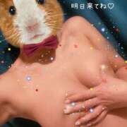 ヒメ日記 2024/12/16 17:26 投稿 ななみ クラブバレンタイン神戸西店