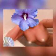 ヒメ日記 2025/05/18 03:43 投稿 ななみ クラブバレンタイン神戸西店