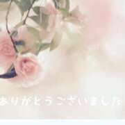 ヒメ日記 2024/12/29 21:03 投稿 藤枝 昼顔妻 五反田店