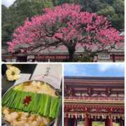 ヒメ日記 2025/03/15 16:59 投稿 藤枝 昼顔妻 五反田店