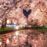 ヒメ日記 2025/03/29 20:48 投稿 藤枝 昼顔妻 五反田店