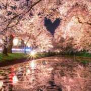 ヒメ日記 2025/03/29 20:56 投稿 藤枝 昼顔妻 五反田店