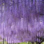 ヒメ日記 2025/04/25 08:46 投稿 藤枝 昼顔妻 五反田店