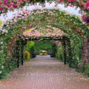 ヒメ日記 2025/05/28 09:46 投稿 藤枝 昼顔妻 五反田店