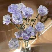 藤枝 リクエスト♡ 昼顔妻 五反田店