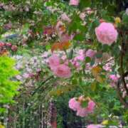 ヒメ日記 2026/01/09 22:16 投稿 藤枝 昼顔妻 五反田店