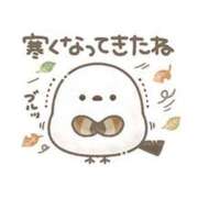 ヒメ日記 2023/11/11 11:24 投稿 りおな ハピネス東京