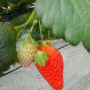 ヒメ日記 2025/04/02 10:30 投稿 すずの 奥様の実話 なんば店