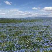 ヒメ日記 2025/07/13 08:29 投稿 すずの 奥様の実話 なんば店