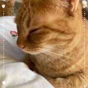 ヒメ日記 2025/10/13 08:23 投稿 すずの 奥様の実話 なんば店