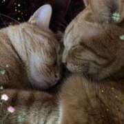 ヒメ日記 2025/10/21 19:01 投稿 すずの 奥様の実話 なんば店