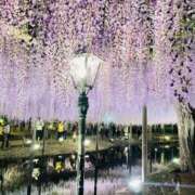 ヒメ日記 2025/08/06 08:53 投稿 秋山　しえり エテルナ京都