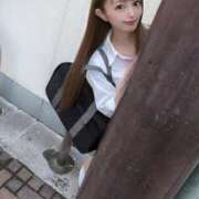 ヒメ日記 2024/12/15 17:08 投稿 櫻木梨乃 ニューティアラ