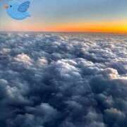 ヒメ日記 2025/01/09 21:31 投稿 ゆず 横浜パフパフチェリーパイ