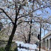 ヒメ日記 2025/04/09 22:42 投稿 ゆず 横浜パフパフチェリーパイ