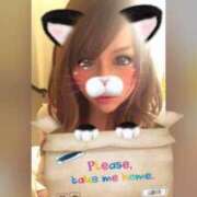 ヒメ日記 2024/12/19 20:57 投稿 MEISA 神戸FOXY