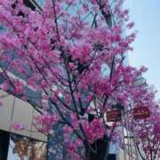 ヒメ日記 2025/03/26 19:55 投稿 優唯(ゆい) 海上空天 SHANGHAI HEAVEN