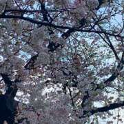 ヒメ日記 2025/03/28 21:22 投稿 優唯(ゆい) 海上空天 SHANGHAI HEAVEN