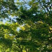 ヒメ日記 2025/04/07 22:38 投稿 優唯(ゆい) 海上空天 SHANGHAI HEAVEN