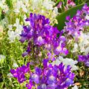 ヒメ日記 2025/04/24 17:09 投稿 優唯(ゆい) 海上空天 SHANGHAI HEAVEN