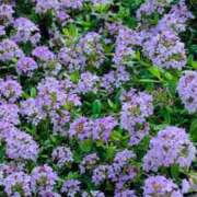 ヒメ日記 2025/06/05 17:05 投稿 優唯(ゆい) 海上空天 SHANGHAI HEAVEN