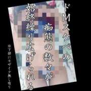 ヒメ日記 2024/12/14 08:03 投稿 もこ 男爵