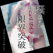 ヒメ日記 2024/12/16 07:45 投稿 もこ 男爵