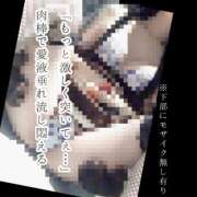 ヒメ日記 2024/12/22 07:45 投稿 もこ 男爵