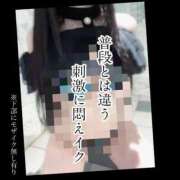 ヒメ日記 2025/01/10 08:03 投稿 もこ 男爵