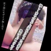 ヒメ日記 2025/01/14 07:45 投稿 もこ 男爵