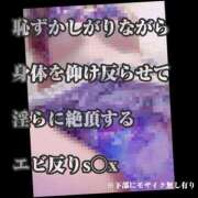 ヒメ日記 2025/02/13 08:45 投稿 もこ 男爵